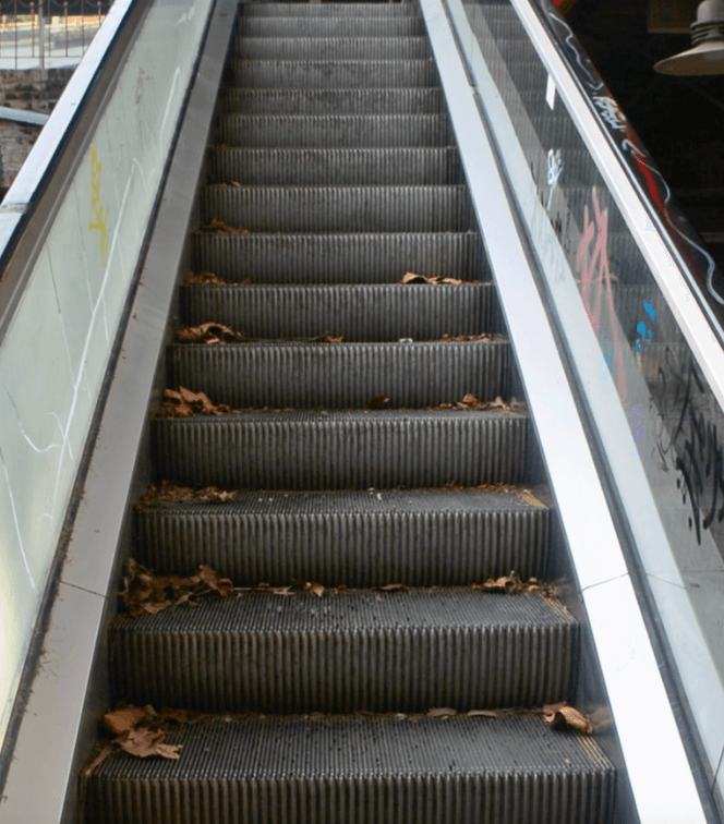 FUTURO DISTÓPICO - Image 6